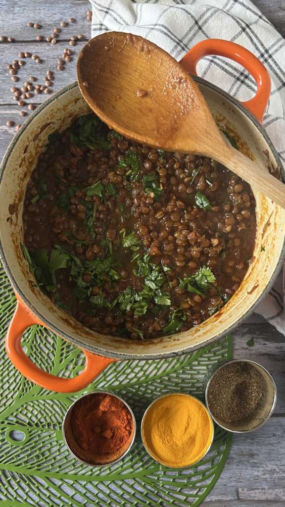 Masoor Dal - Brown Lentil Curry - MOSTLYFOODANDTRAVEL